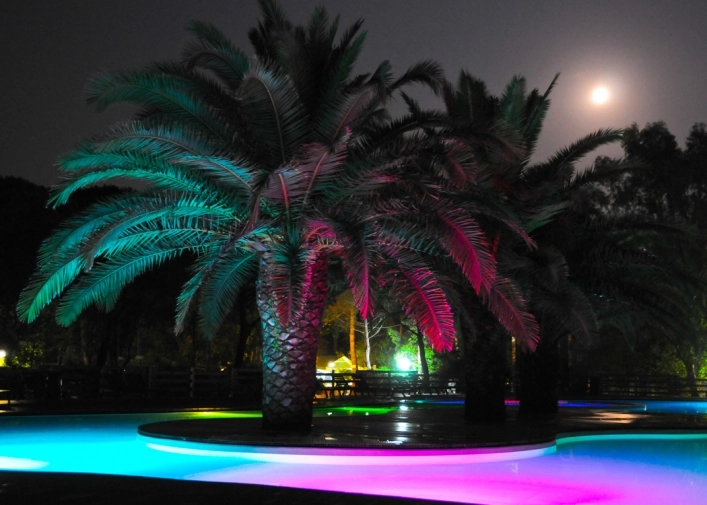 zobacz camping - zdjęcie 7