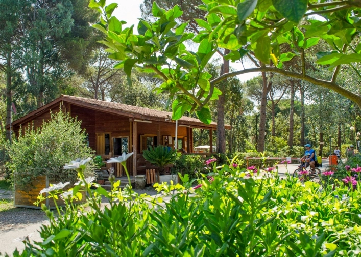 zobacz camping - zdjęcie 1