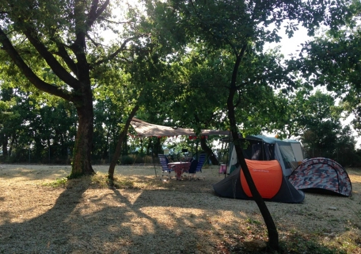 zobacz camping - zdjęcie 27