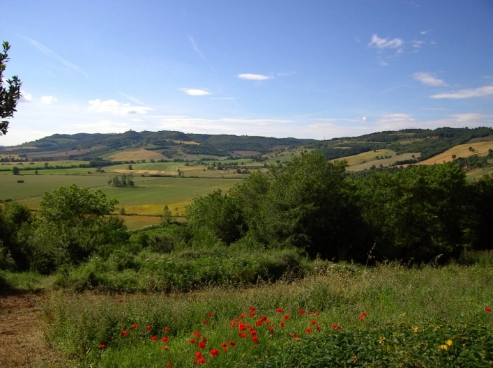 zobacz camping - zdjęcie 25