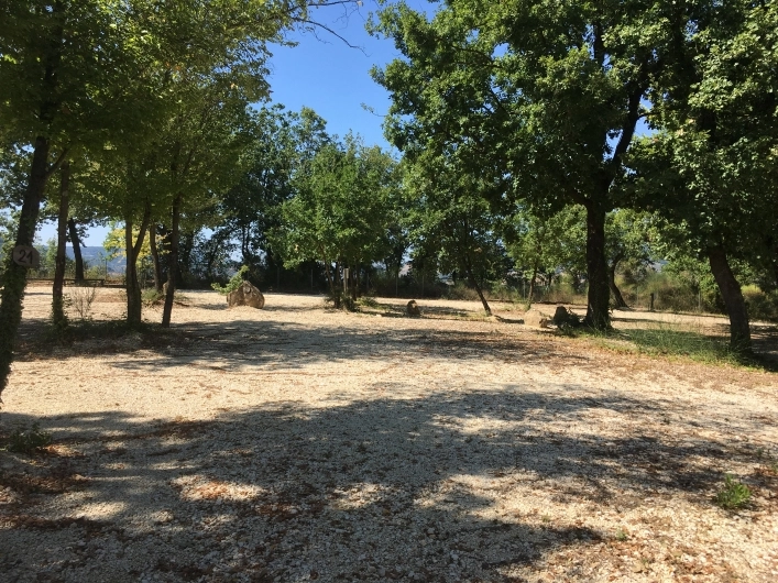 zobacz camping - zdjęcie 22