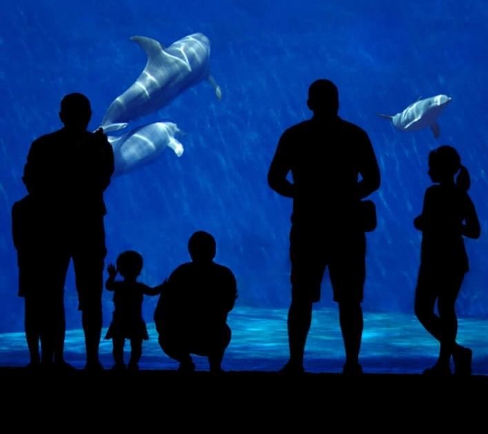 zobacz camping - zdjęcie 24