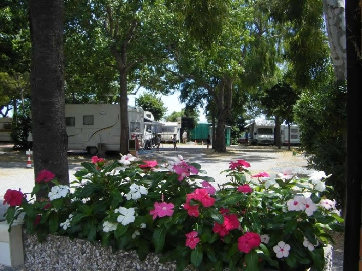 zobacz camping - zdjęcie 20