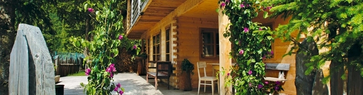 zobacz camping - zdjęcie 35