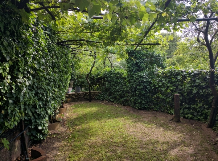 zobacz camping - zdjęcie 21