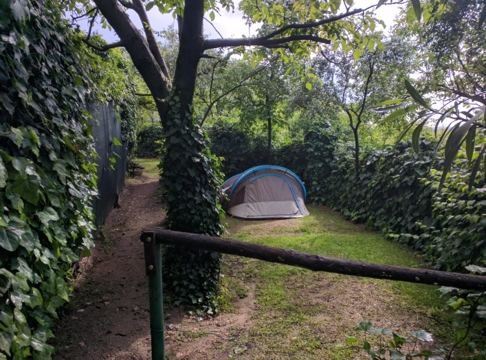 zobacz camping - zdjęcie 19