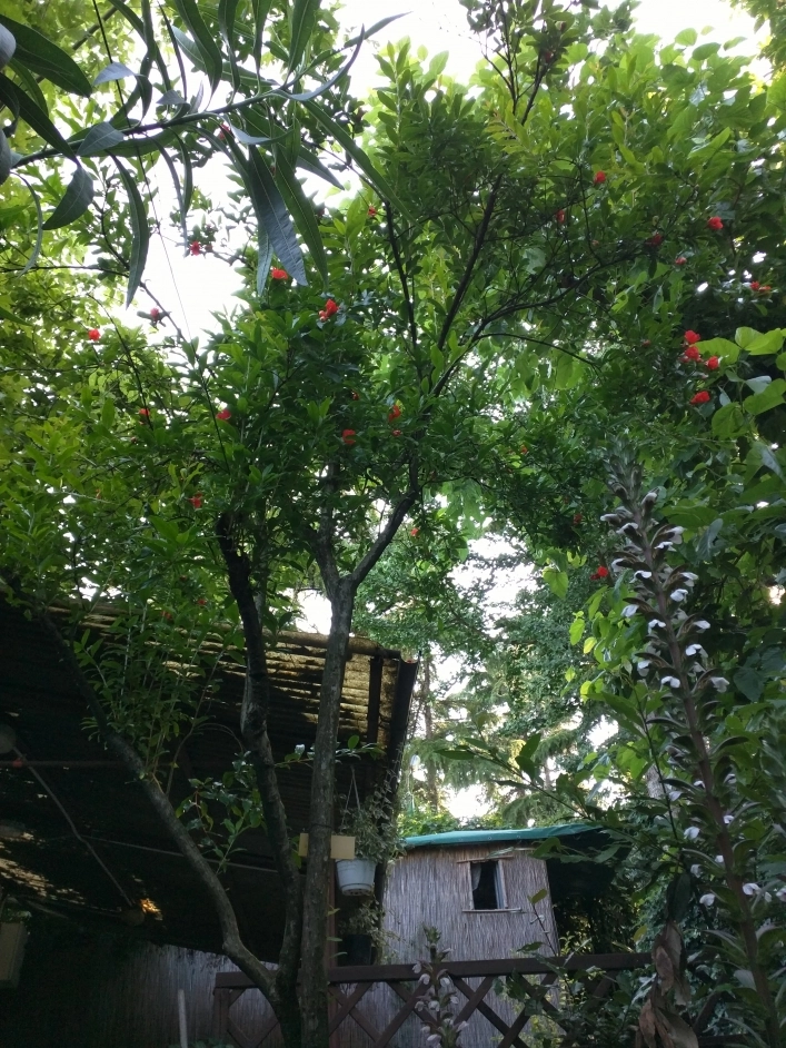 zobacz camping - zdjęcie 10