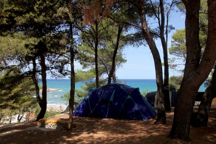 zobacz camping - zdjęcie 29