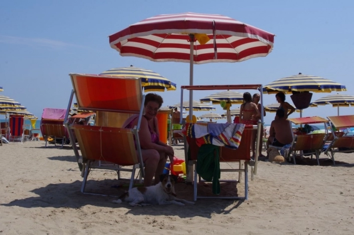 zobacz camping - zdjęcie 26