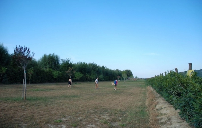 zobacz camping - zdjęcie 17