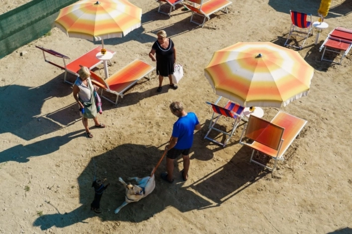 zobacz camping - zdjęcie 16