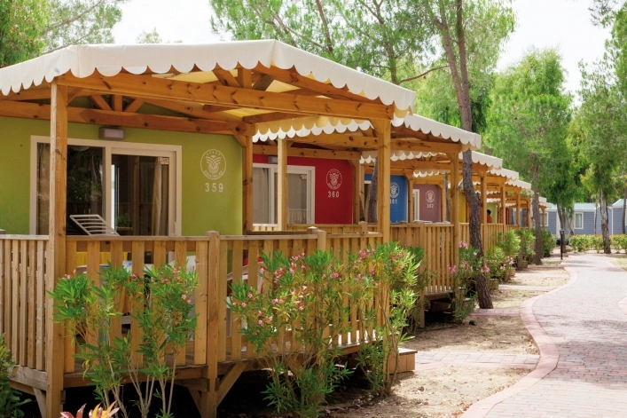 zobacz camping - zdjęcie 34