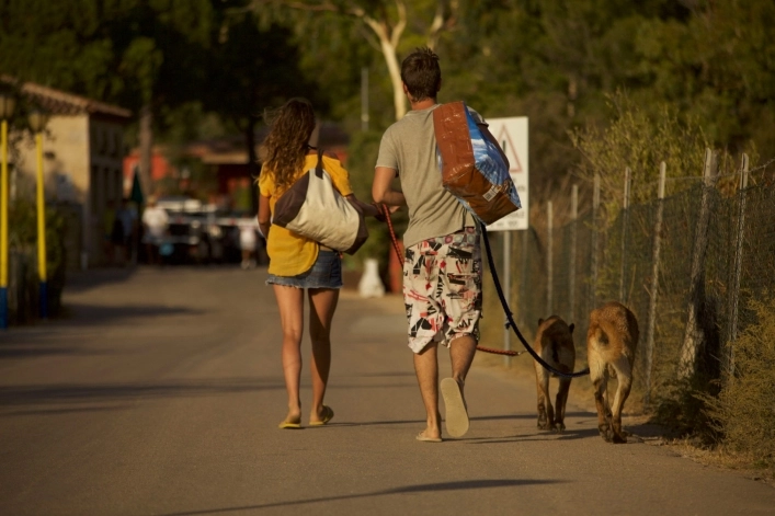 zobacz camping - zdjęcie 20