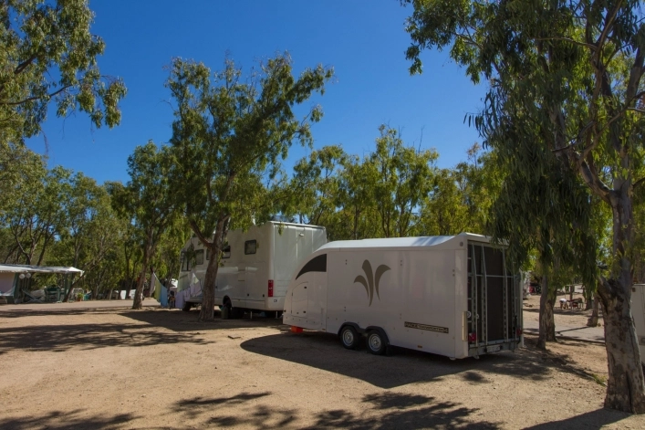 zobacz camping - zdjęcie 15