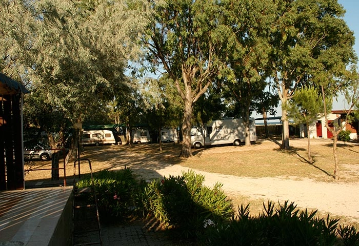 zobacz camping - zdjęcie 24