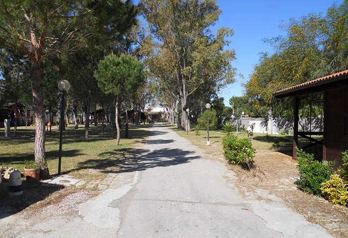 zobacz camping - zdjęcie 23