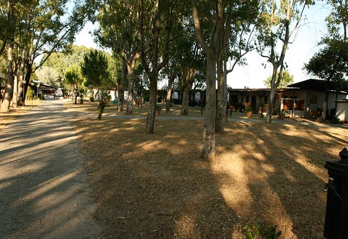 zobacz camping - zdjęcie 19