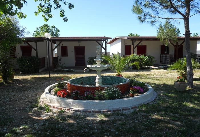 zobacz camping - zdjęcie 16