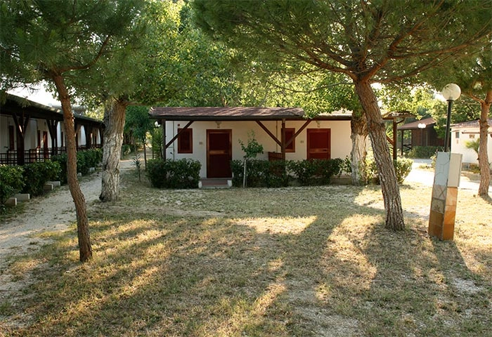 zobacz camping - zdjęcie 15