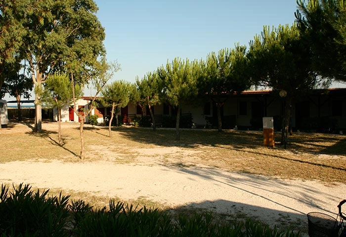 zobacz camping - zdjęcie 12