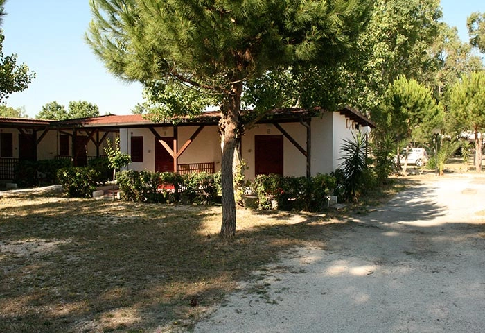 zobacz camping - zdjęcie 8