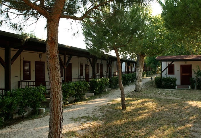 zobacz camping - zdjęcie 7