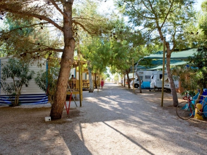 zobacz camping - zdjęcie 29