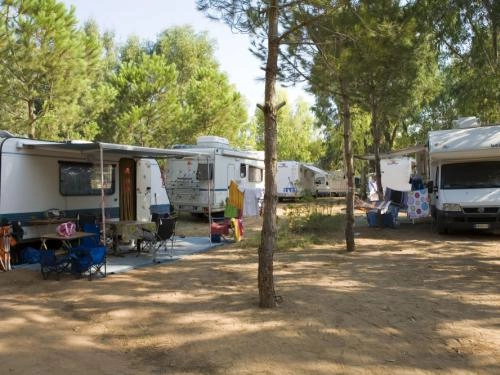 zobacz camping - zdjęcie 24