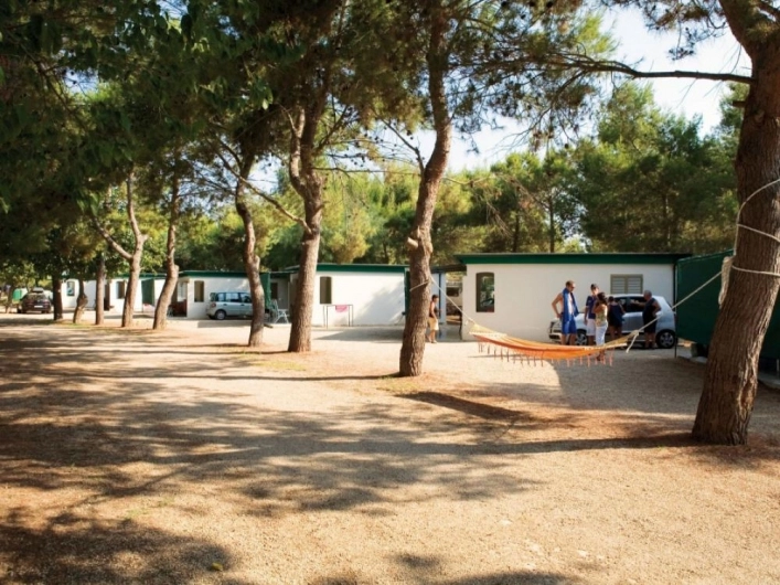 zobacz camping - zdjęcie 14