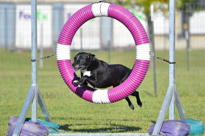 zobacz camping - zdjęcie 25