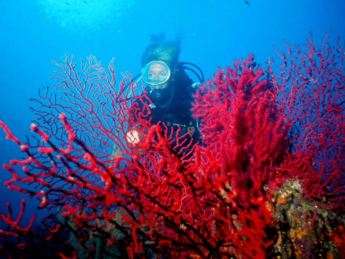 Club Degli Amici Camping Village - zdjęcie 3