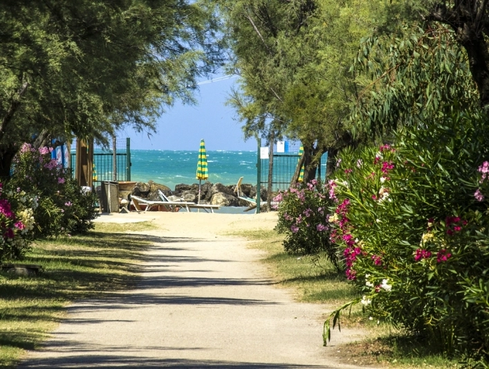 zobacz camping - zdjęcie 23