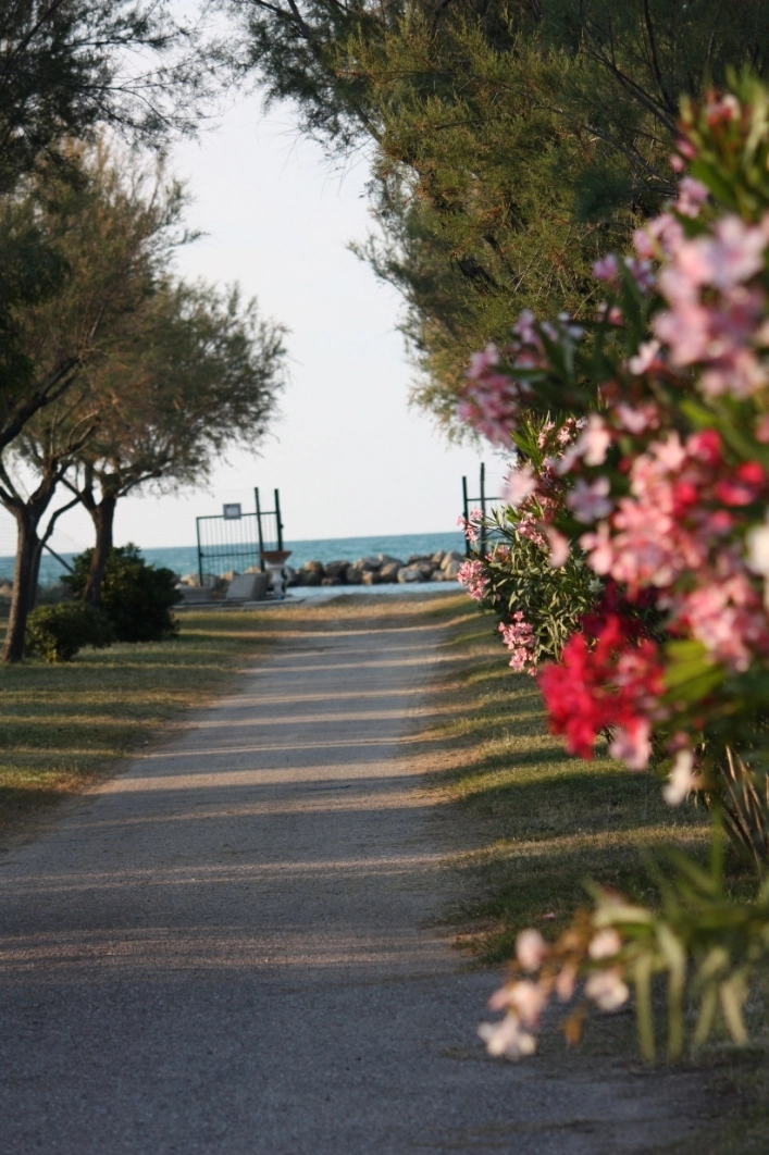 zobacz camping - zdjęcie 20