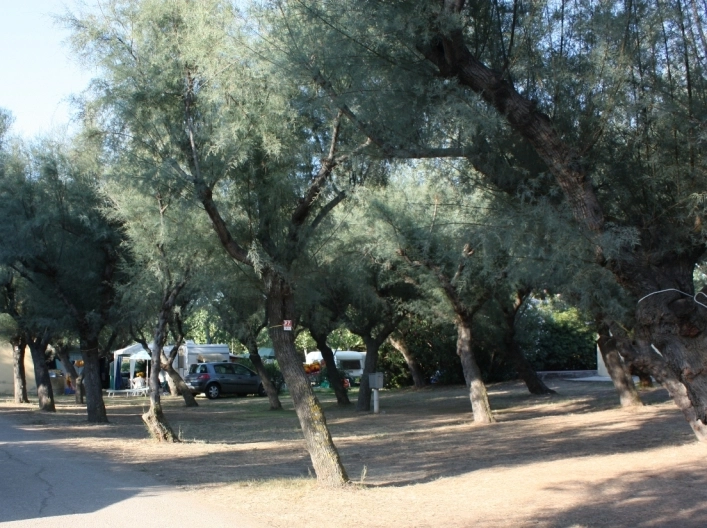 zobacz camping - zdjęcie 14