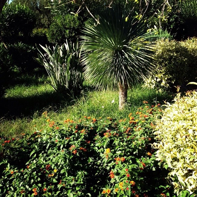 Centro Vacanze Oriente - zdjęcie 2