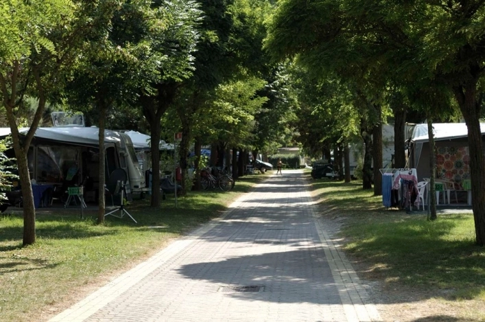 zobacz camping - zdjęcie 21