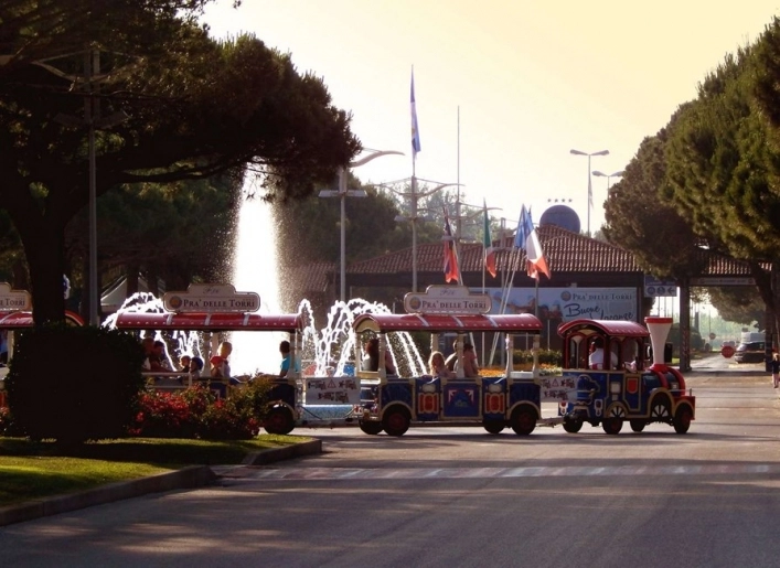 zobacz camping - zdjęcie 15