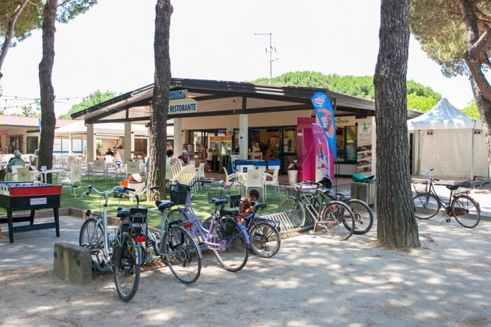 zobacz camping - zdjęcie 18