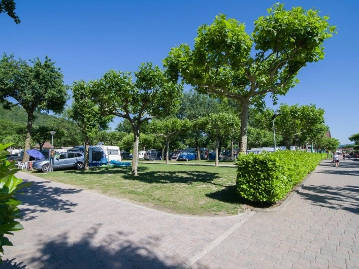 zobacz camping - zdjęcie 61