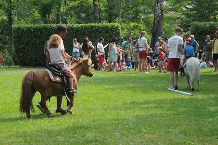 zobacz camping - zdjęcie 21