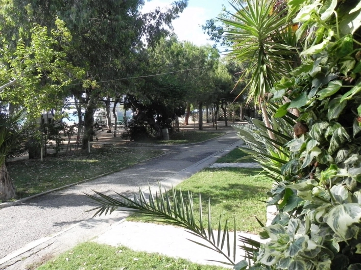 zobacz camping - zdjęcie 16