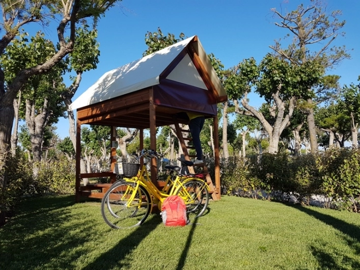 zobacz camping - zdjęcie 16