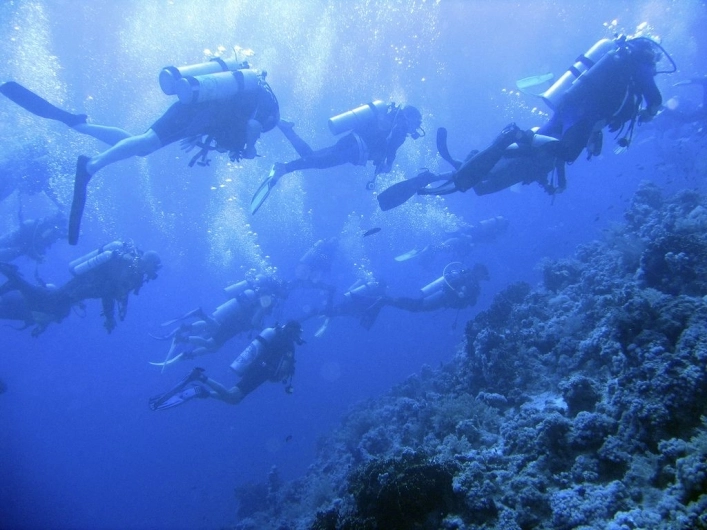 zobacz camping - zdjęcie 25