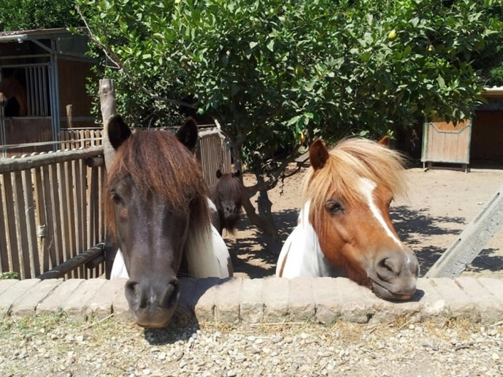 zobacz camping - zdjęcie 24