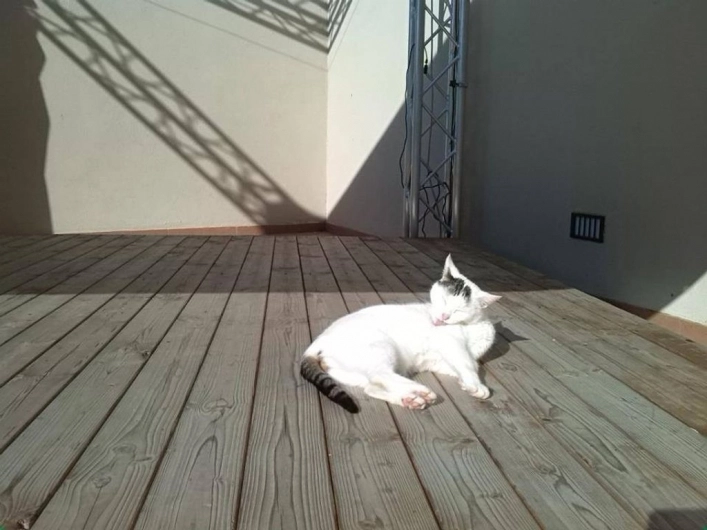 zobacz camping - zdjęcie 10