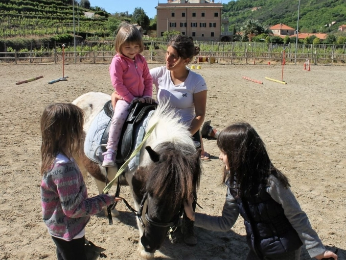 zobacz camping - zdjęcie 6