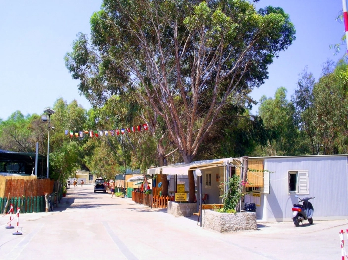 zobacz camping - zdjęcie 16