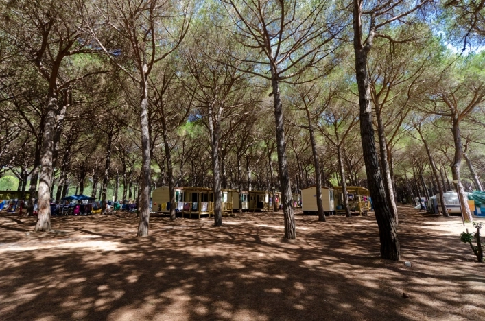 zobacz camping - zdjęcie 26