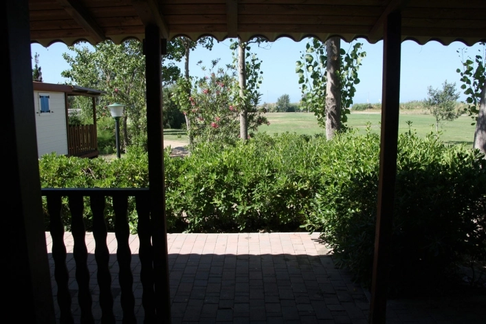 zobacz camping - zdjęcie 25