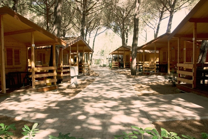 zobacz camping - zdjęcie 22